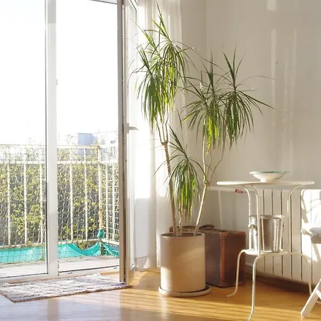 Apartmán Airy Town Center 2 Bedroom